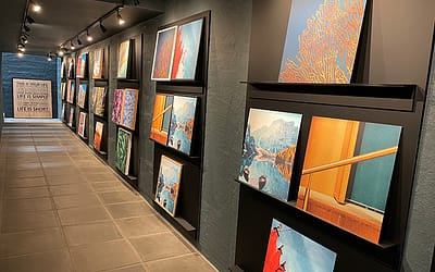Plakater og rammer i alle afskygninger hos Illux