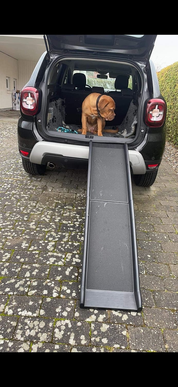 Transport hunden - meget mere her om transport til hunden